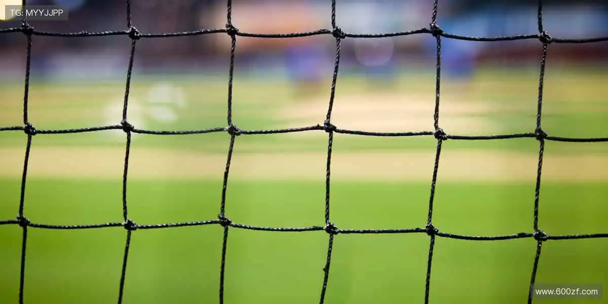 💻实时互动,与千万球迷共燃热血!💬